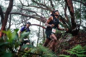 BIB: 
                            <button type="button" onclick="openModal(26295979)" class="btn btn-primary btn-sm float-right btn-popup" data-toggle="modal" data-target=".modal-high-quality">
                        <i class="fas fa-shopping-cart"></i> Add to Cart
                    </button>
                                            <button type="button" onclick="isThisMe(26295979, true)" class="btn btn-success btn-sm float-right btn-popup btn-isme hidden" data-toggle="tooltip" data-placement="bottom" title="นี่คือรูปของคุณใช่ไหม คลิกที่นี่เพื่อเอาเข้าอัลบั้ม">
                        <i class="fas fa-plus"></i> Add to album
                    </button>
                    <button type="button" onclick="isThisMe(26295979, false)" class="btn btn-warning btn-sm float-right btn-popup btn-isnotme hidden">
                        <i class="fas fa-ban"></i> Remove from album
                    </button>